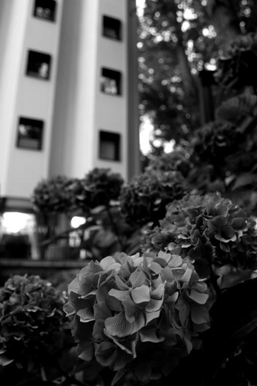 Hotel Tximista เอสเตลลา ภายนอก รูปภาพ